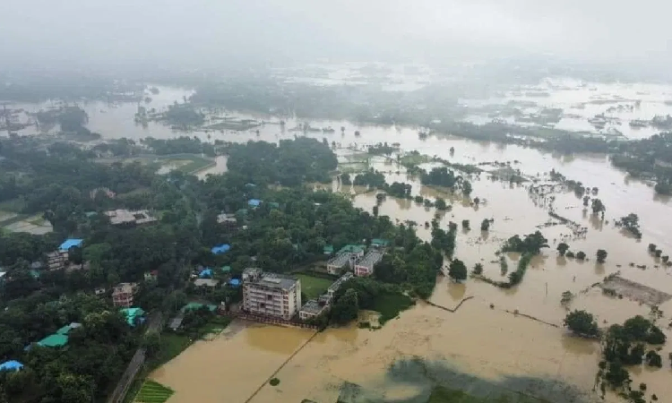 ত্রাণ কার্যক্রমে বিমান বাহিনীর সাথে ইনসেপ্টা এবং প্রকৃতি ও জীবন ফাউন্ডেশন